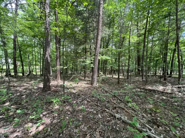 Lot 5 Buccaneer RD,  Moneta,  VA 24121