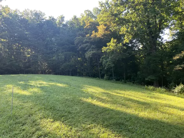 Hardy, VA 24101,Lot 11 Mountain Cove DR