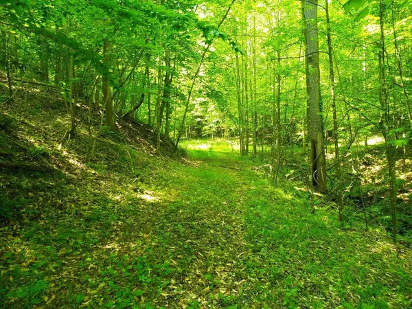 Thaxton, VA 24174,1252 Howell DR