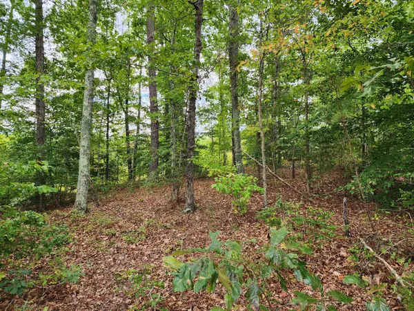 Brodnax, VA 23920,0 Grandy RD