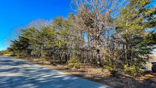 Moneta, VA 24121,Lot 86 Winding Waters DR