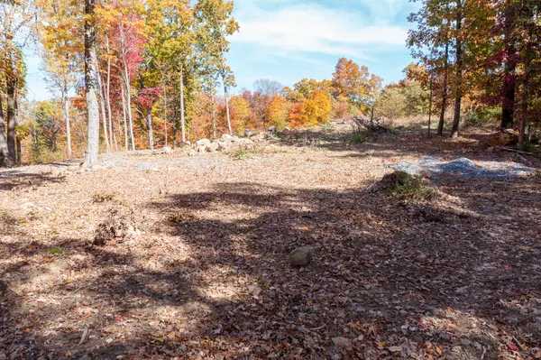 Moneta, VA 24121,Lot 2 Oak DR