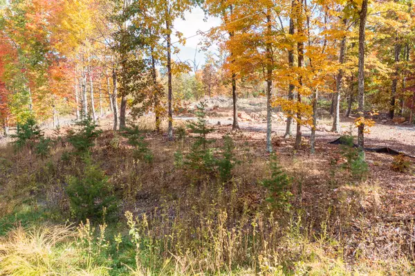 Moneta, VA 24121,Lot 2 Oak DR