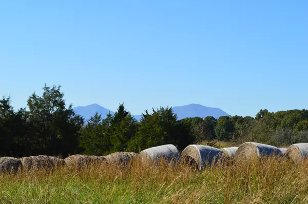 Lot 2 Goode Station RD, Goode, VA 24556