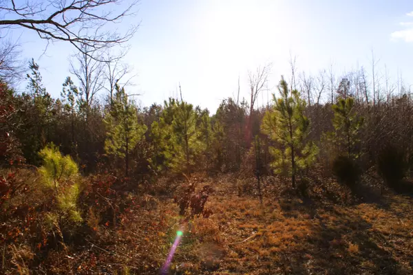 Keysville, VA 23947,Lot 2 & 3 Lunenburg County RD