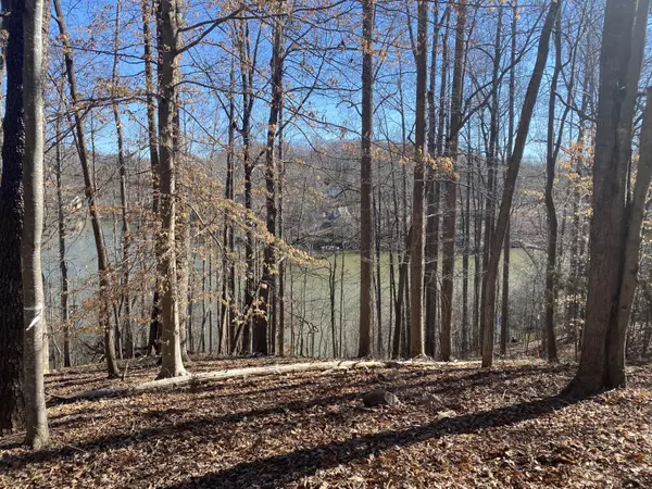 Glade Hill, VA 24092,Lot 29 Lake View Point