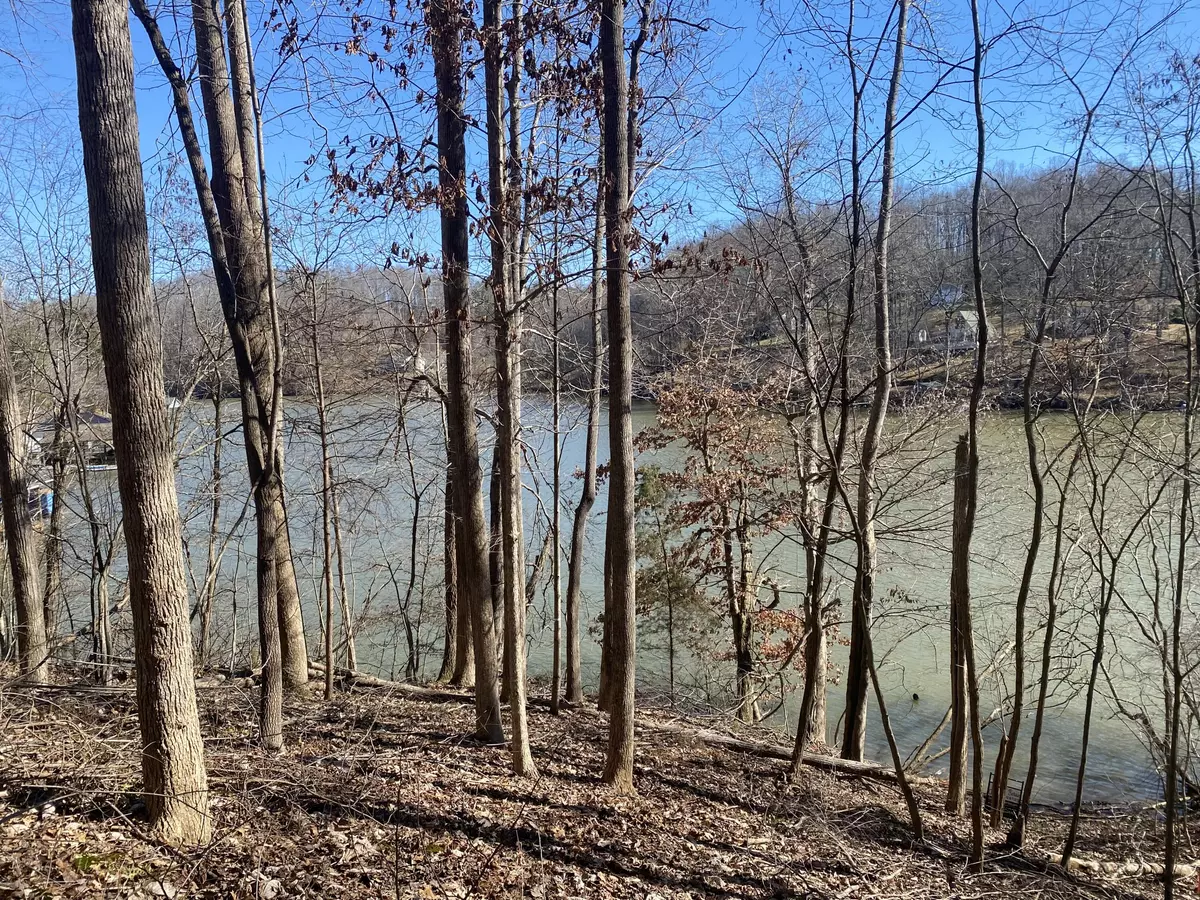 Glade Hill, VA 24092,Lot 29 Lake View PT