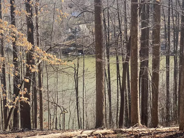 Glade Hill, VA 24092,Lot 29 Lake View PT