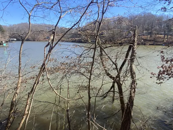 Glade Hill, VA 24092,Lot 29 Lake View Point