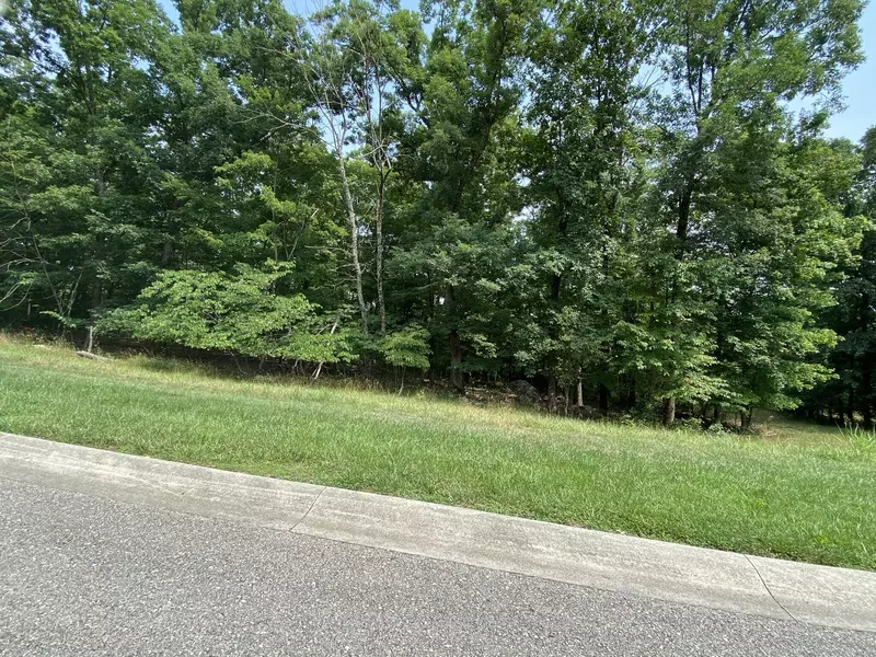 LOT 45 SUMMIT DR, Rocky Mount, VA 24151