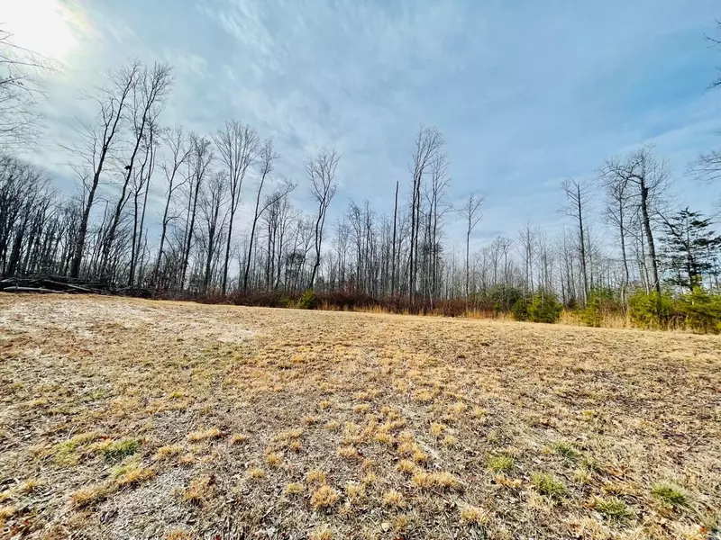 Lot 10 A2 Periwinkle RD, Moneta, VA 24121