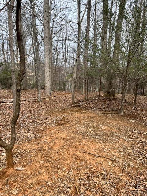 Hardy, VA 24101,Lot 31 Lakecrest DR
