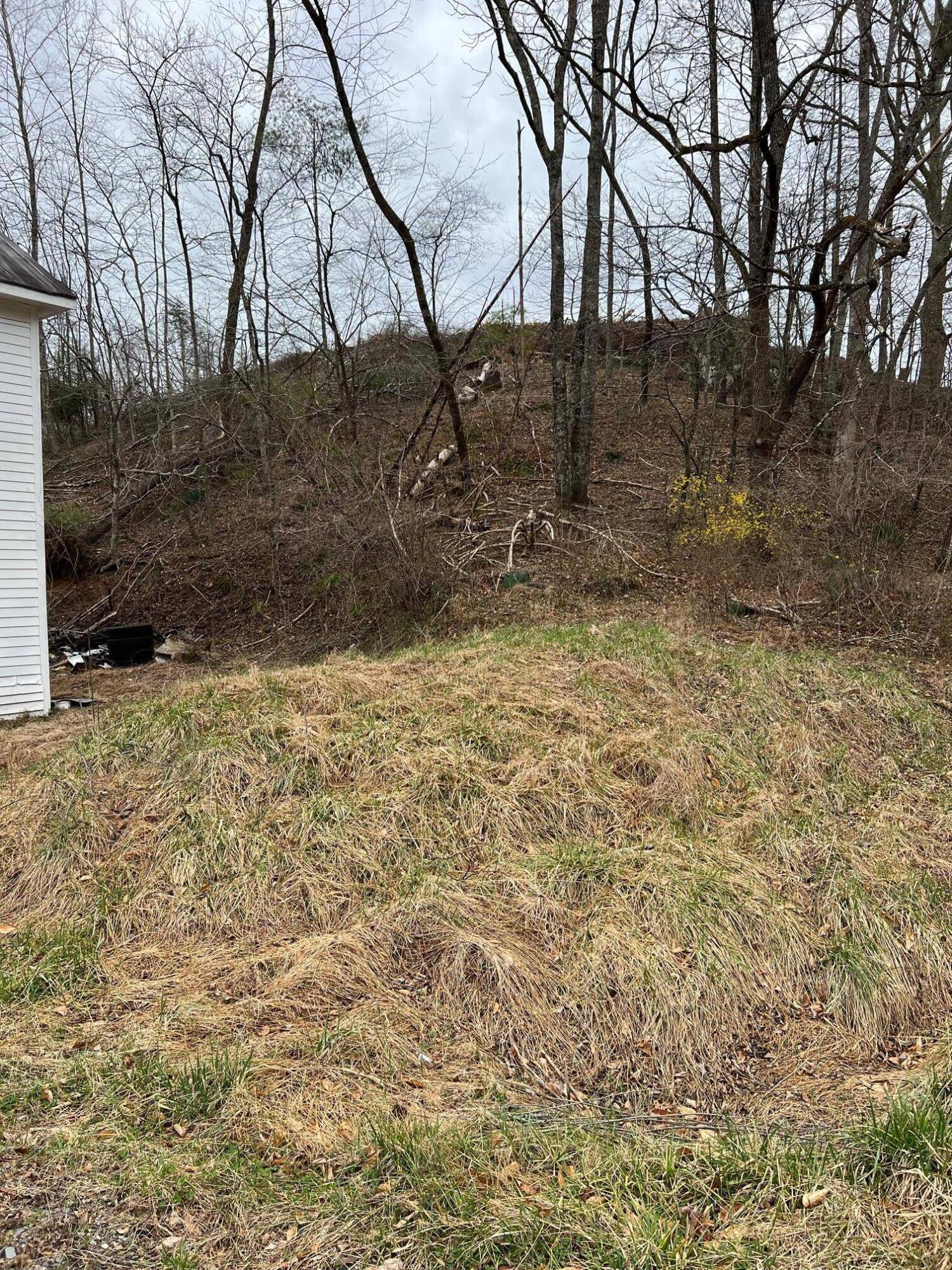 Boones Mill, VA 24065,8408 Boones Chapel RD