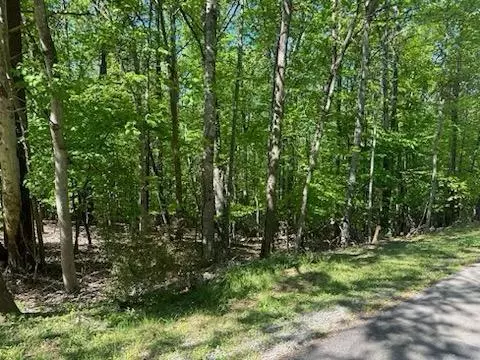 Moneta, VA 24121,Lot 66 Ridgeway CT