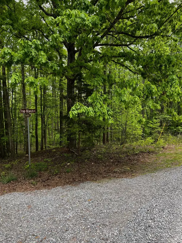 Bedford, VA 24523,Lot 11 Trap Branch RD