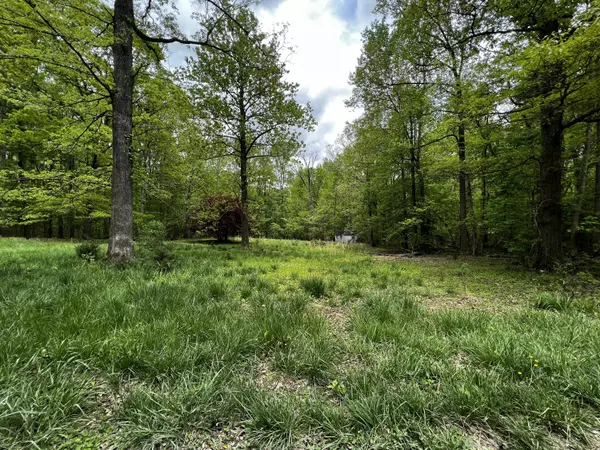 Bedford, VA 24523,Lot 14 Trap Branch RD