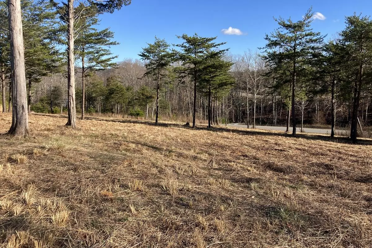 Union Hall, VA 24176,LOT 5 JFK BLVD