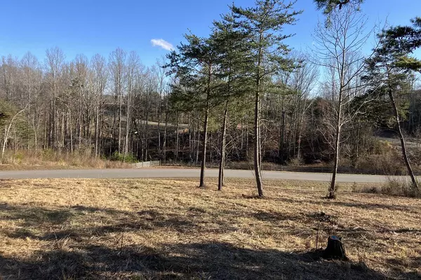 Union Hall, VA 24176,LOT 5 JFK BLVD
