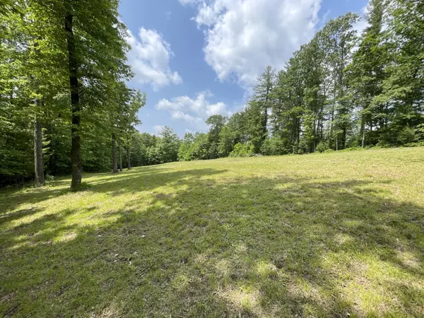 0 Gold Field RD NE, Check, VA 24072