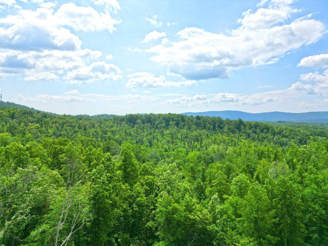 Rocky Mount, VA 24151,0 Finch LN
