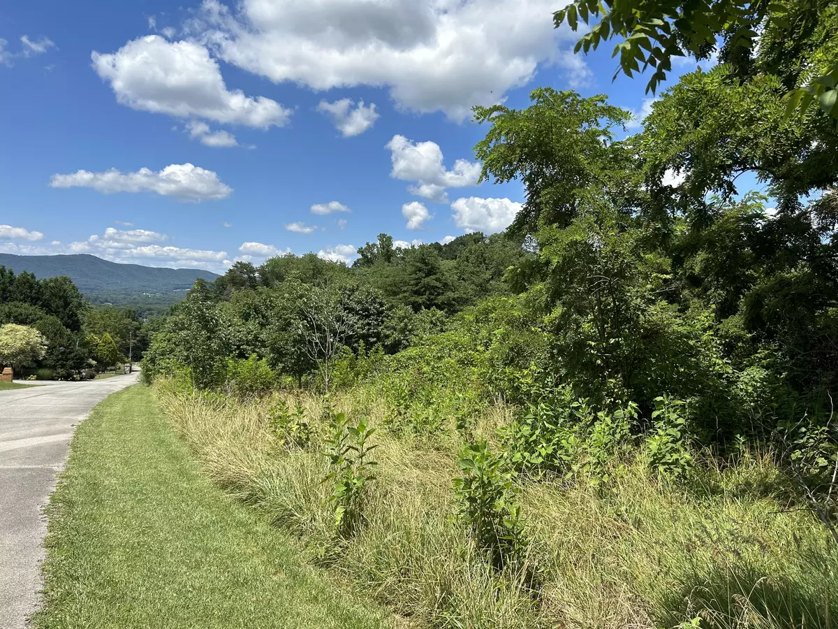 Roanoke, VA 24012,0 Misty Mountain Ln LN