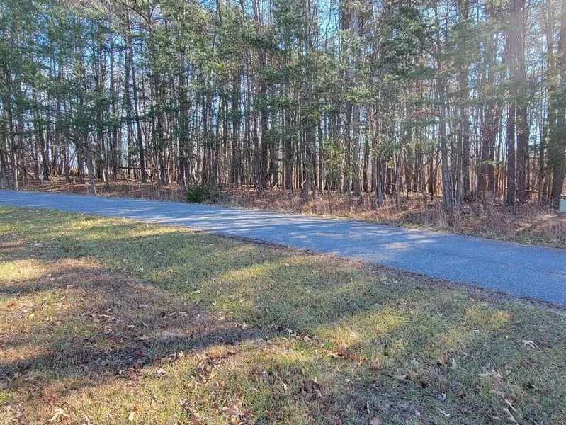 Lot 11 Pointe O Woods DR, Huddleston, VA 24104