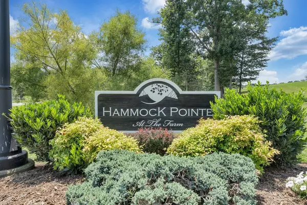 Moneta, VA 24121,Lot 1 Hammock Pointe DR