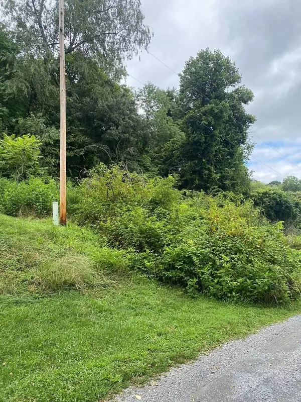 Moneta, VA 24121,Lot 13 Crest Hills DR