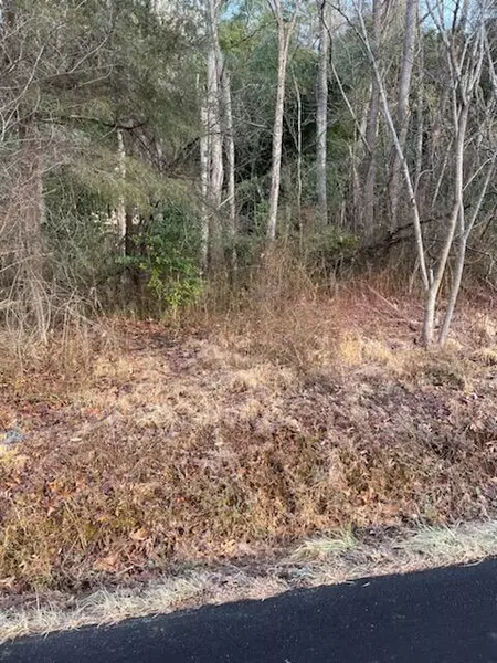 LOT 15 ANDERSON ST, Rocky Mount, VA 24151