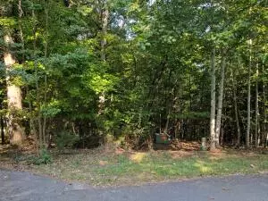 Lot 25 Pointe O Woods DR, Huddleston, VA 24104