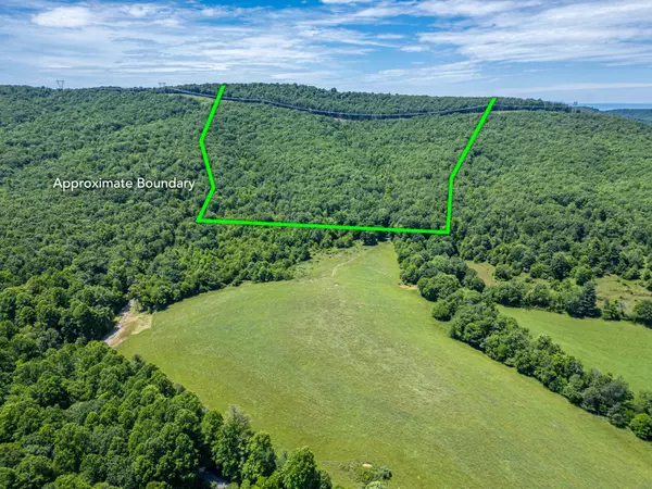 Willis, VA 24380,Lot 6 Sumpter RD NW