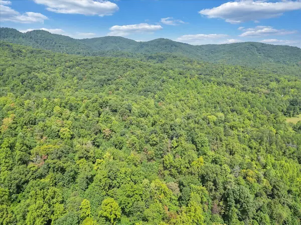 Ferrum, VA 24088,0 Newcomb RD
