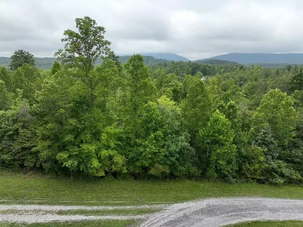 Lot 5 Reservoir View DR,  Pittsville,  VA 24139