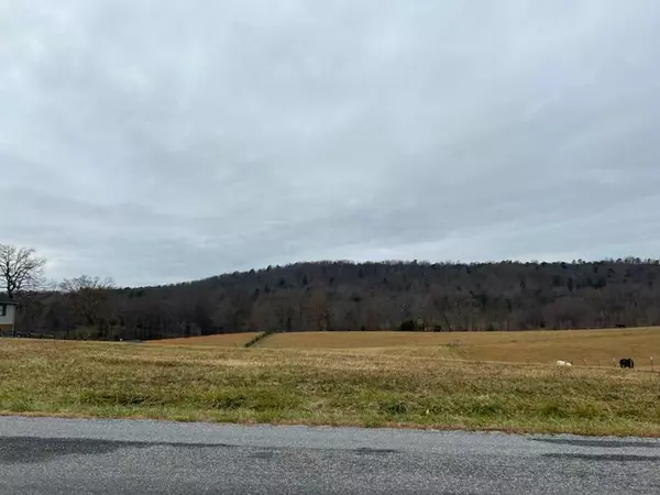 Bassett, VA 24055,Lot 1 Country Ridge RD