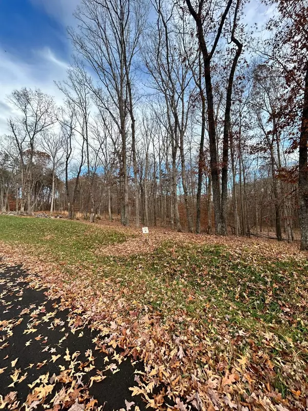 Wirtz, VA 24184,Lot 6 Red Barn LN