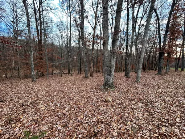 Wirtz, VA 24184,Lot 6 Red Barn LN