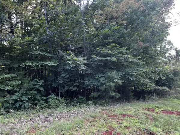 Lynch Station, VA 24571,Lot 332 Bay View RD