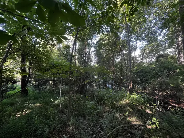Lynch Station, VA 24571,Lot 208 Acres CT