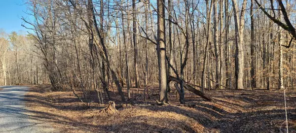 Pittsville, VA 24139,LOT 29 POPULAR RIDGE RD