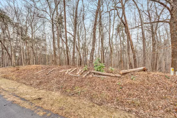 Penhook, VA 24137,Lot 376 Morgans Mill DR