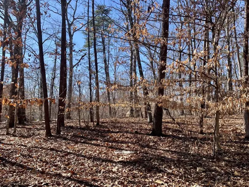 Lot 10 Ravenwood DR, Moneta, VA 24121