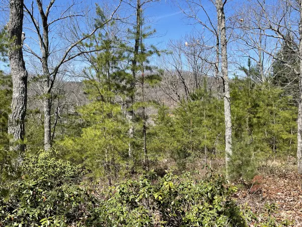 Pittsville, VA 24139,Lot 139 Noahs Knoll