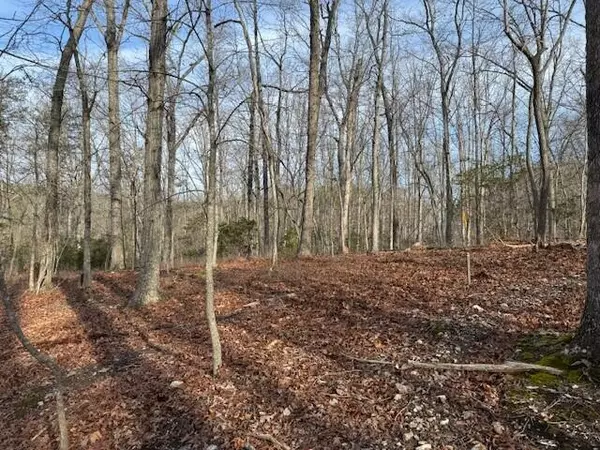 Hardy, VA 24101,Lot 19 Cedar Bluff LN