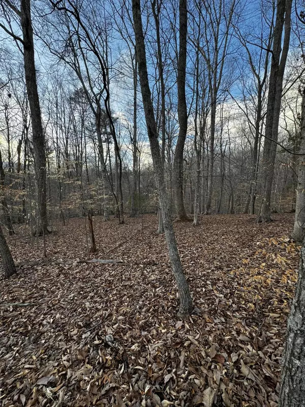 Moneta, VA 24121,Lot 23 Old Post RD