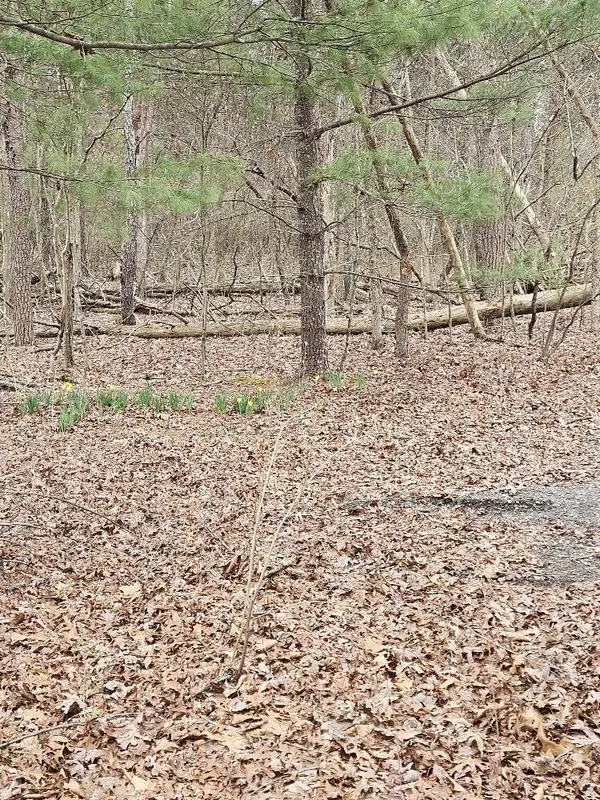 Fincastle, VA 24090,0 Timber Ridge