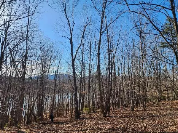 Pittsville, VA 24139,Lot 7 Robin Ridge CT