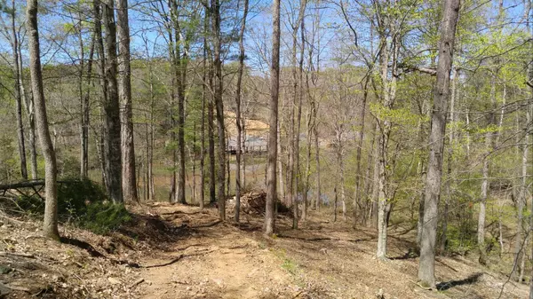 Moneta, VA 24121,Lot 42 Lakewatch CIR