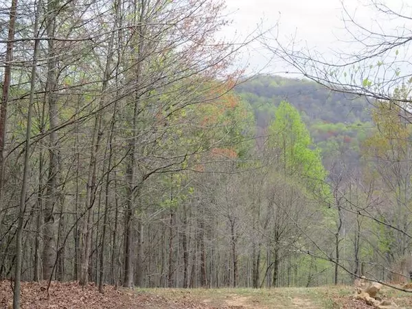 Blue Ridge, VA 24064,Lot 13 Woodshire DR