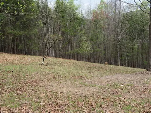 Blue Ridge, VA 24064,Lot 13 Woodshire DR