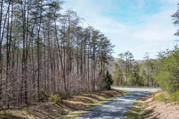 Wirtz, VA 24184,Lot 1 Inlet DR